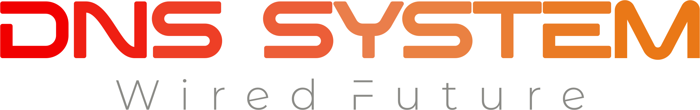 DNS System