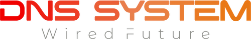Dns System